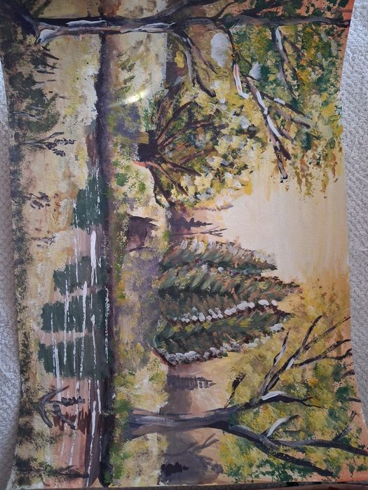 Картины юной художницы.