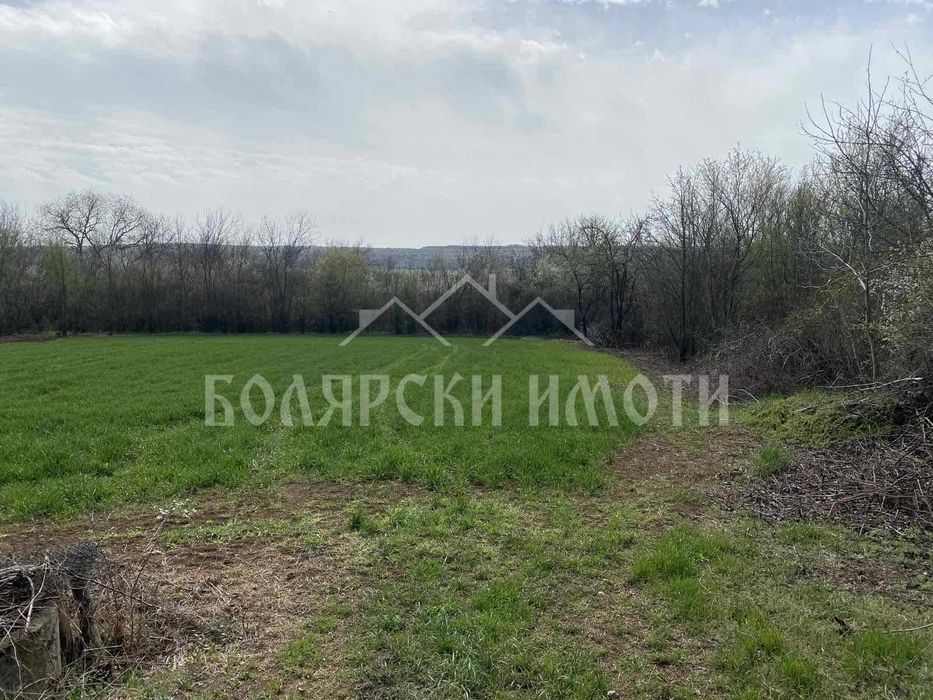 Дворно място в село Русаля