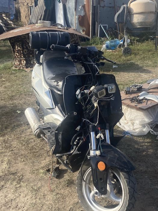 продам скарпион 50