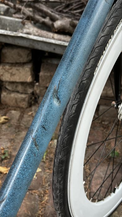 Single speed/Fixie