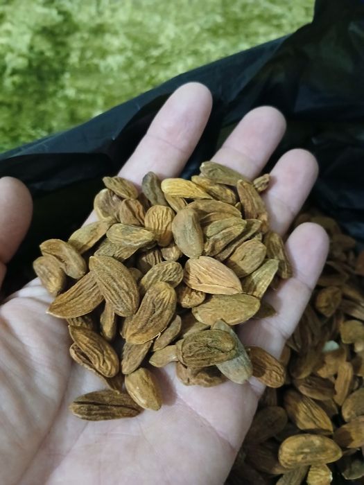 Бадеми второ качество