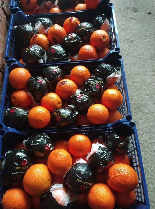 зеленчуци и плодове