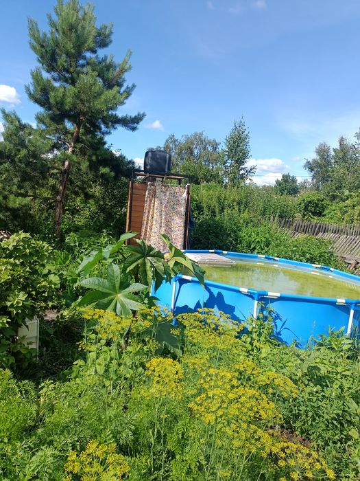 Продам дачу С.О Борки