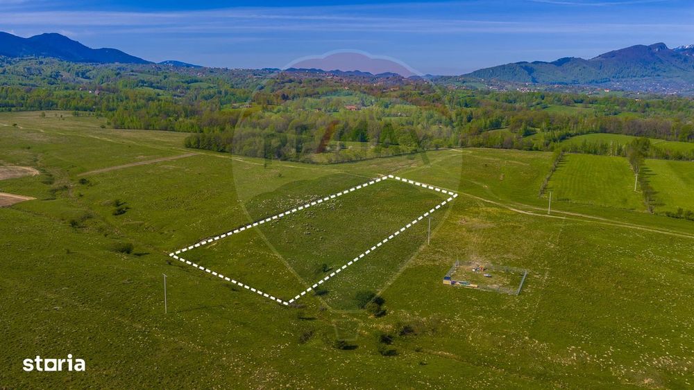 Teren 1ha, extravilan Rasnov / Agricultură sau fermă/ COMISION 0%