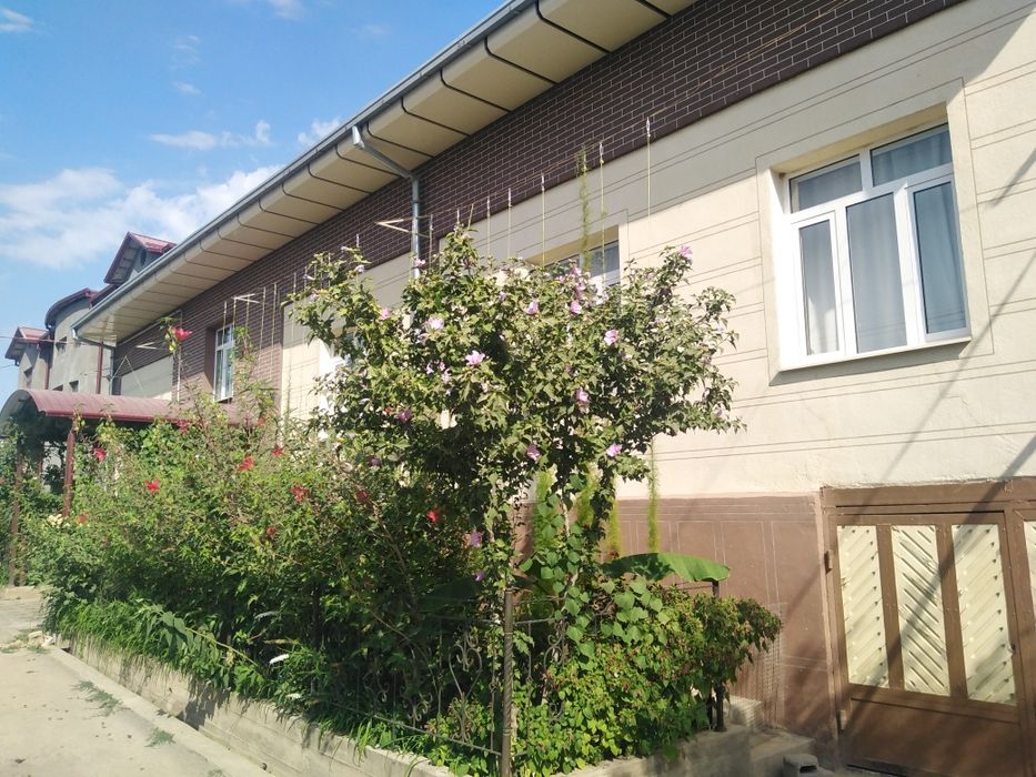 Зангота туман Назарбек Мевазор МФИ  жондор куча  9-уй 8-сотих