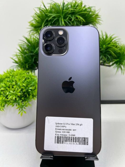 Iphone 12 Pro Max 256 gb