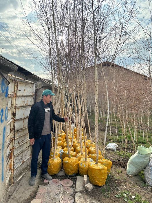 Chiroyli qizga fisting video