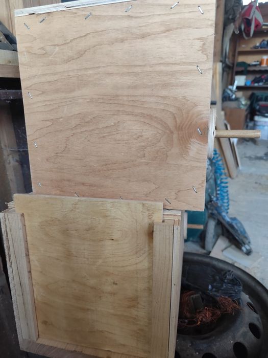 Cuiburi papagali și veverițe