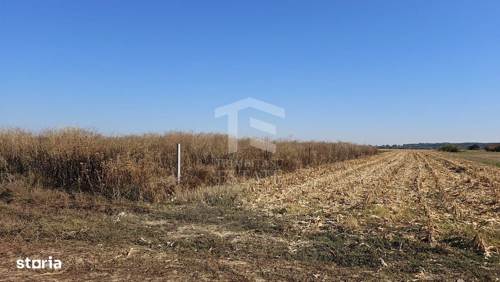 Copăceni - Ilfov - Teren intravilan arabil de vânzare - 1.148 mp