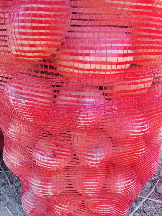 Продам картофель