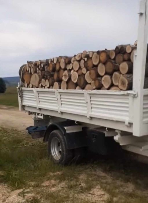 Lemne de foc la 320 lei metu esetă tare