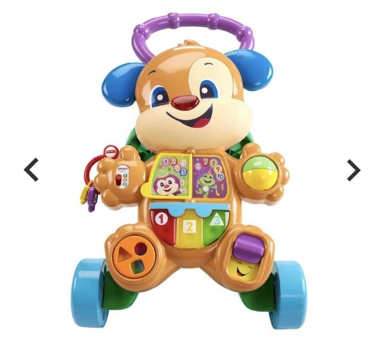 Vand antemergator cu activitati, Fisher Price, Catelusul, Lb Romana