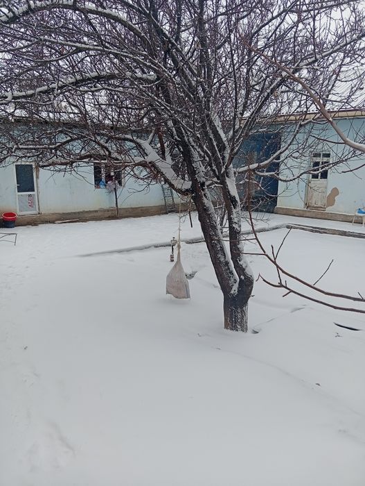 Bulungʻur tumanida uy sotiladi