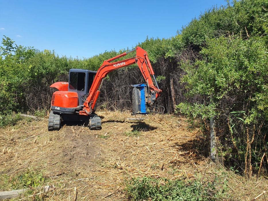 Defrisat tocat curățat terenuri