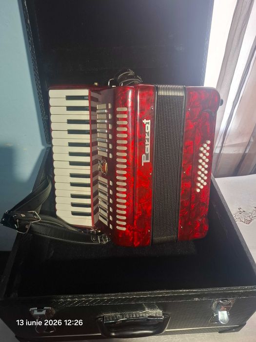 Acordeon parrot de vânzare