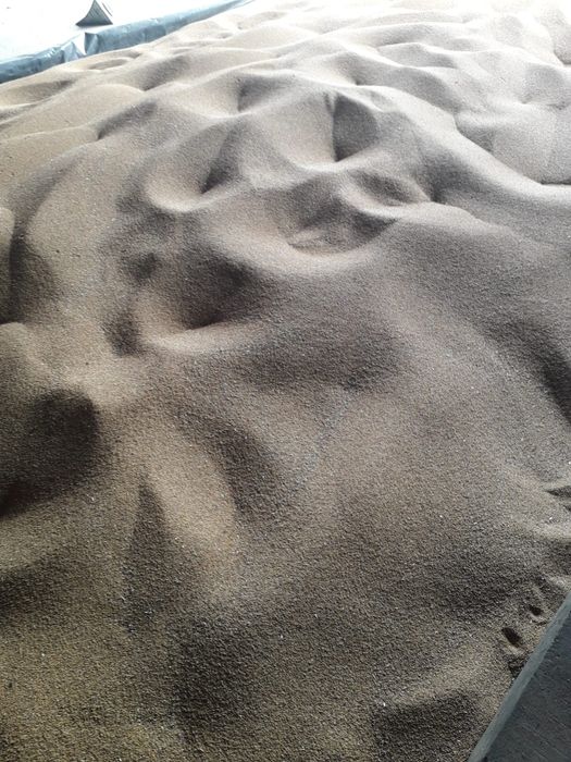 Vând sămânță lucernă