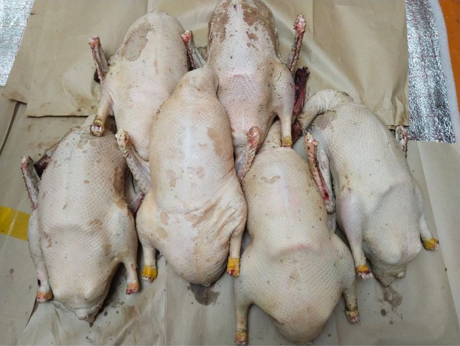 Үйрек, қаз еттері бар