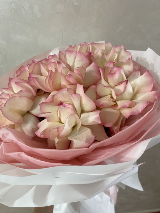 Гүл свежый күшті