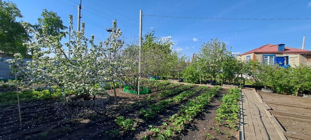 Продам базу отдыха Мишутка