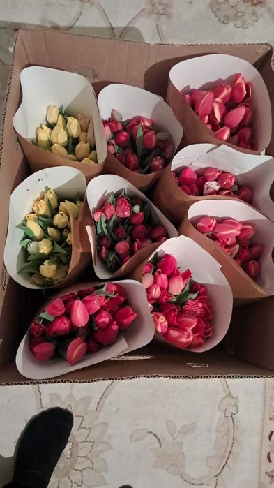 Тюльпан оптом акция