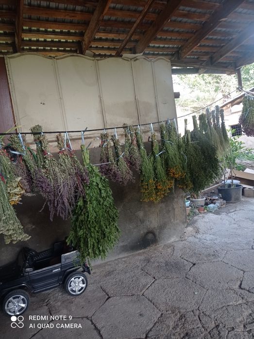 Продам банные веники