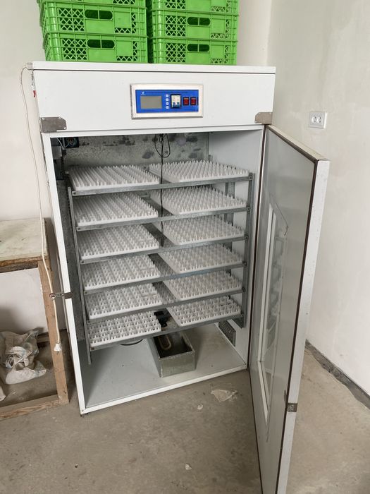 inkubator 1000 talik yangi