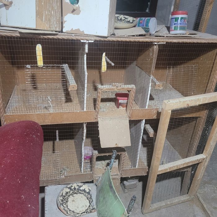 Кушлар учун кафас