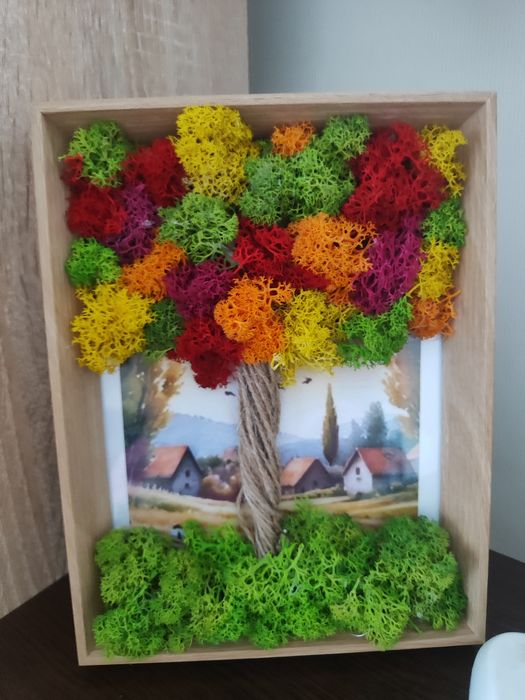 Картини със скандинавски мъх