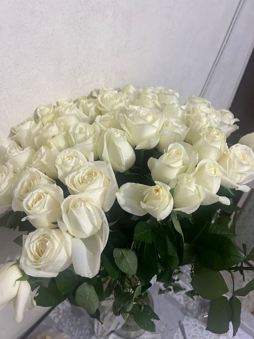 Белые розы свежий 51шт