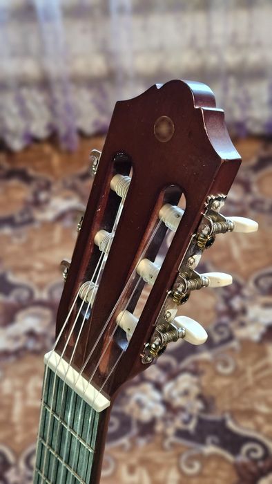 Гитара со звукоснимателем SX40