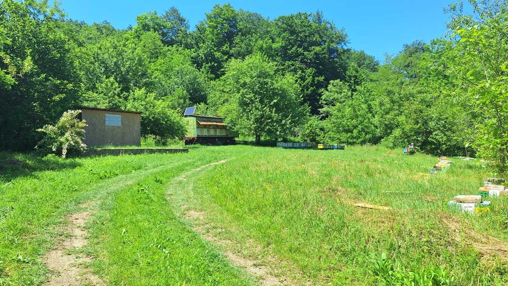 Grădină pe Valea Bârzăvii