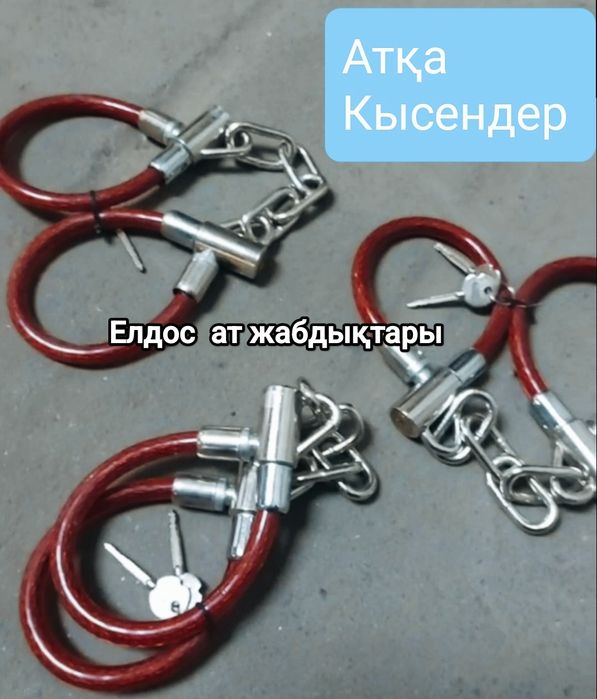 Ат жабдықтары ертоқым