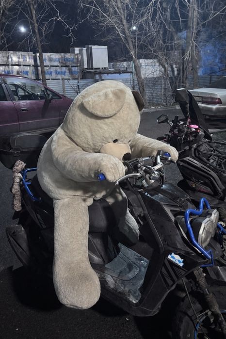 Продам мопед бумер
