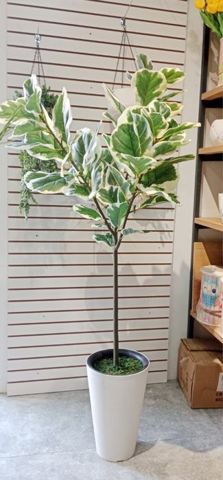 искусственные цветов