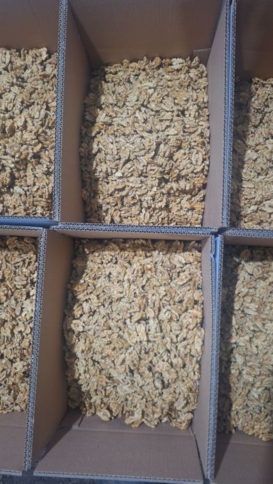 Miez de nucă Românesc