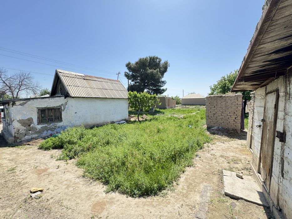 Дача Восход (Кўришизга арзийди )