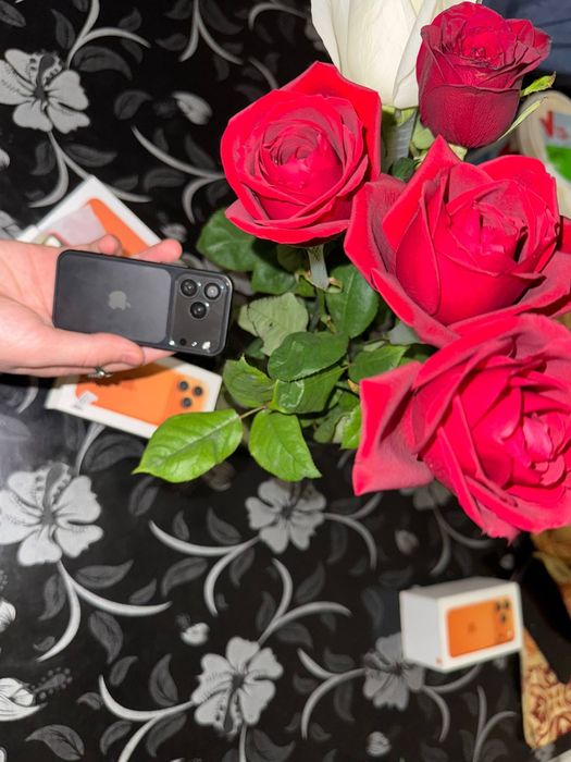 iPhone 17 pro max mini