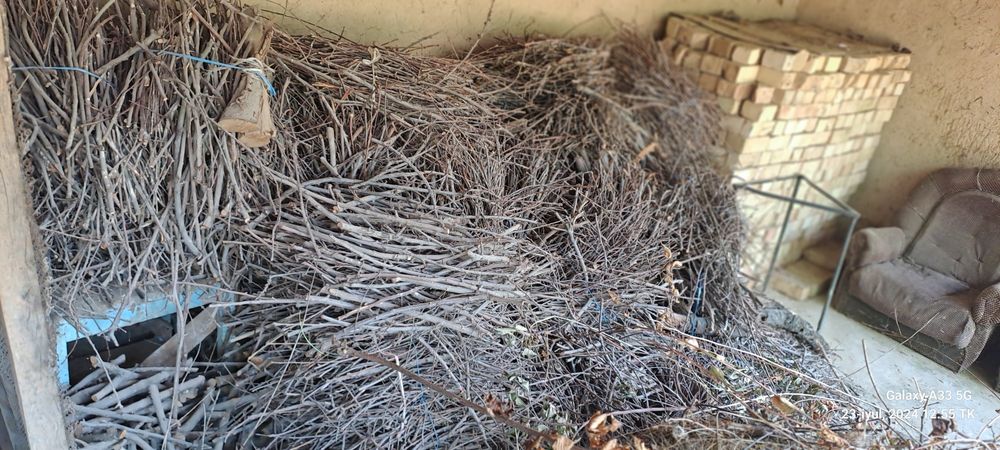 Дрова. Отин сотилади.