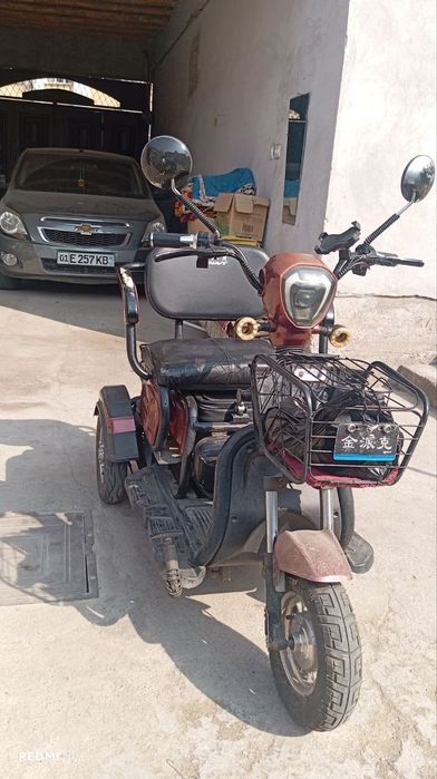 Elktra skutr sotladi