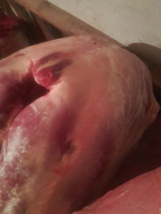 Продается мясо. Согым