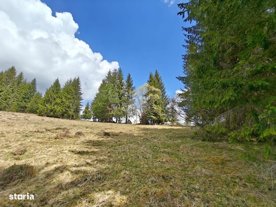 Teren intravilan, 1500 mp, Dealu Botii, com Belis, Comision 0