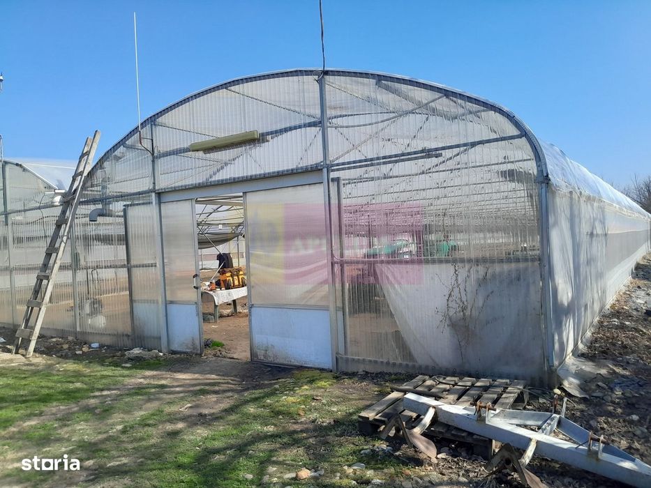 Vanzare Teren 3100 Mp - Sat Rosiori (Il)