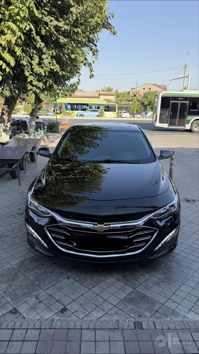Malibu 2 premier kraskasi tozza