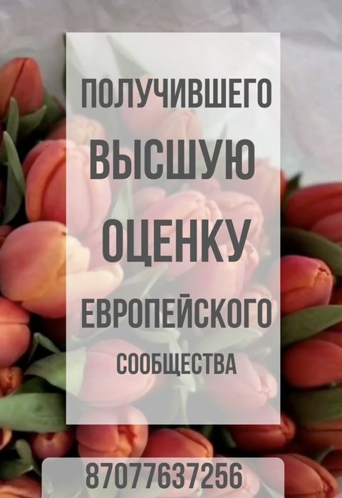 Тюльпаны в розницу