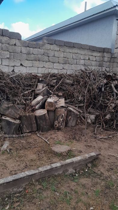 Ағаш отын кесілген