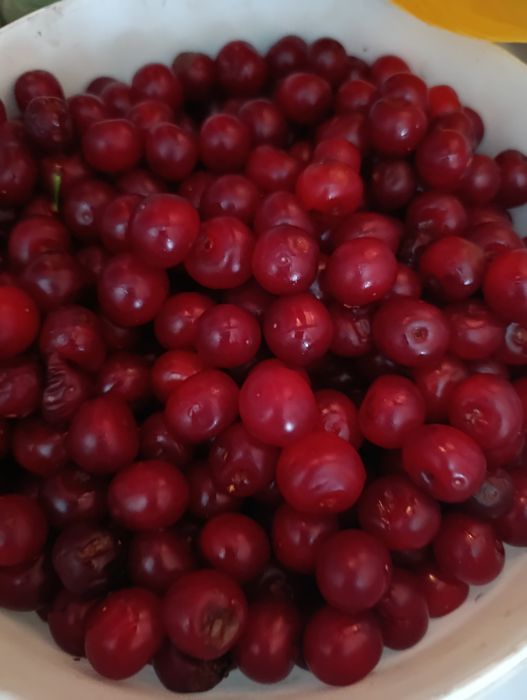 Продам черешню домашнюю