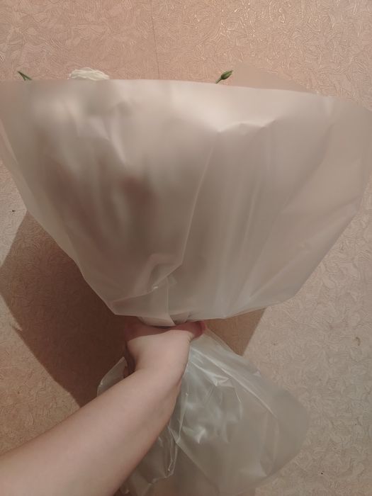 Цветы белая роза