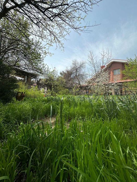 Продается Участок 15 сот Шуртепа Санаторий Турон Луначарский Свой