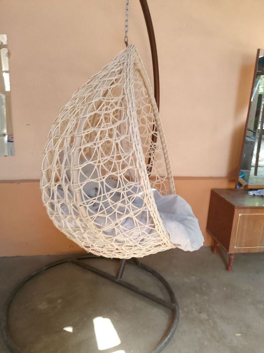 Qush uyasi kachela holati zoʻr