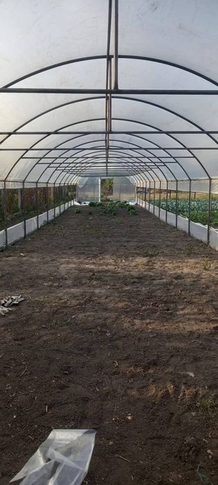 Sere si solare pentru gradina